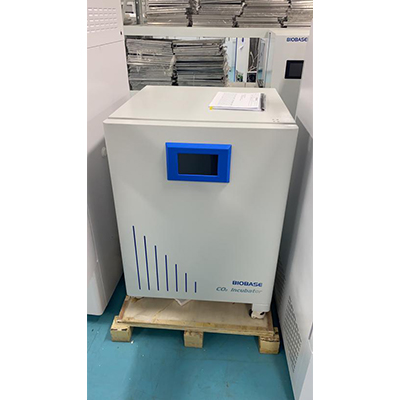 博科二氧化碳培养箱QP-80（湿热灭菌系列）