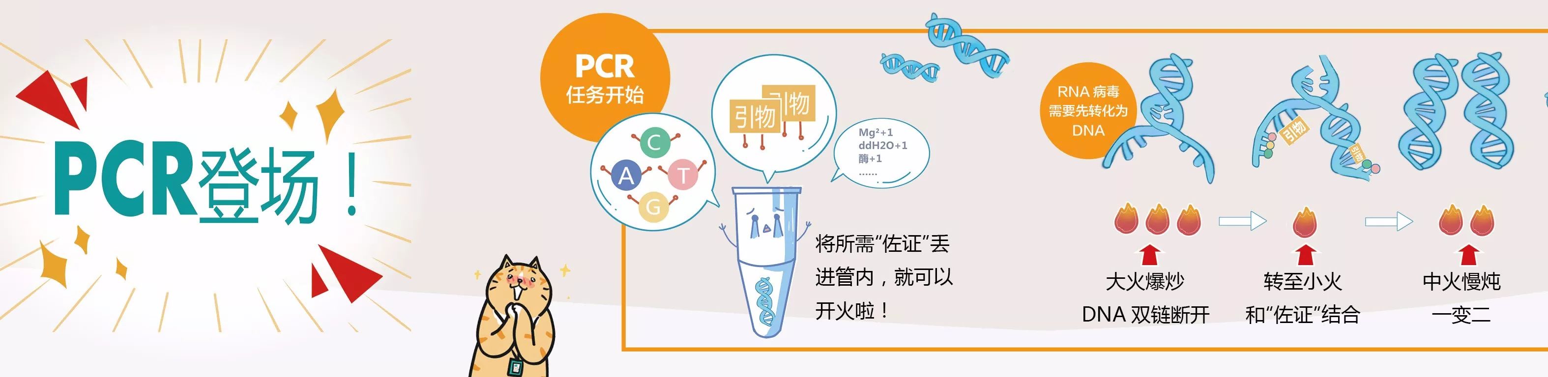 移动pcr方舱实验室设备之pcr仪扩增核酸过程