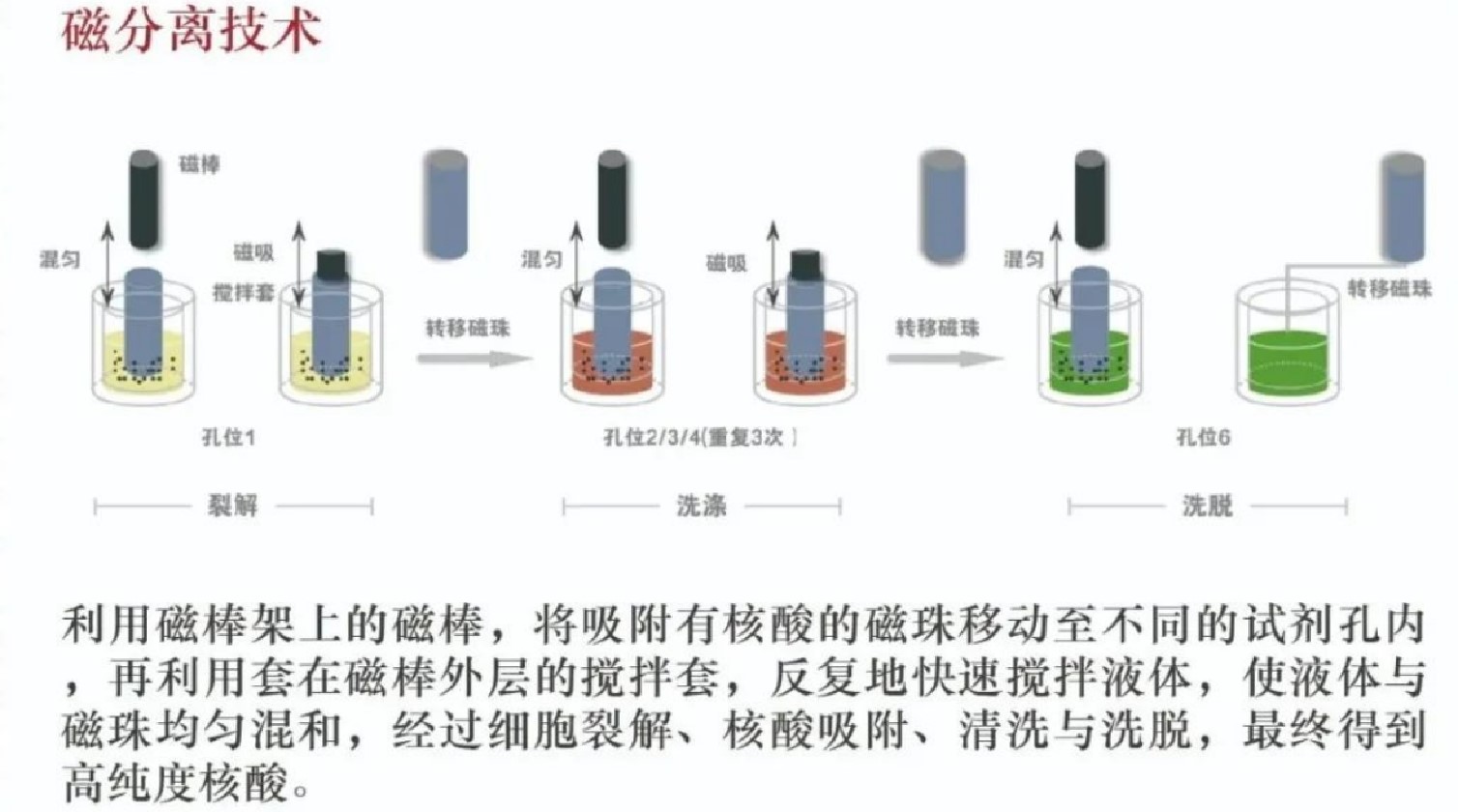 方舱PCR实验室样本制备区