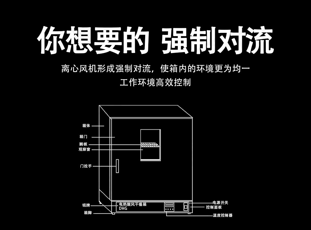 电热鼓风干燥箱对流