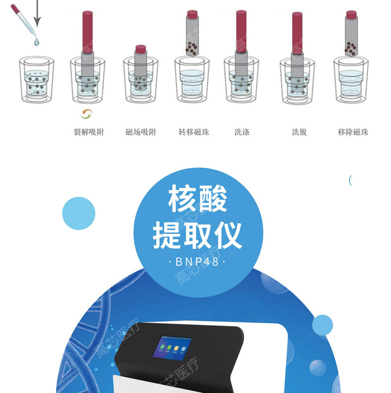 核酸提取仪提取方式